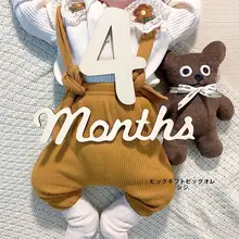 木製英数字記録ボード【赤ちゃんの成長記録用・撮影用・月齢表示】
