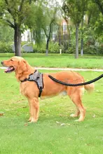 光るハーネス付きリード【伸縮式・ペット用・犬用】