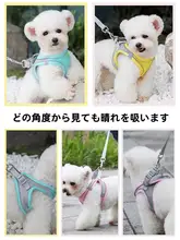 小型犬用ハーネスリード【極上の柔らかさ・お散歩用・テディ】【胸部ハーネスタイプ】