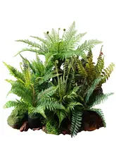 リアルなシダ 盆栽 緑の植物 熱帯雨林のシーン 植物 コーナー装飾