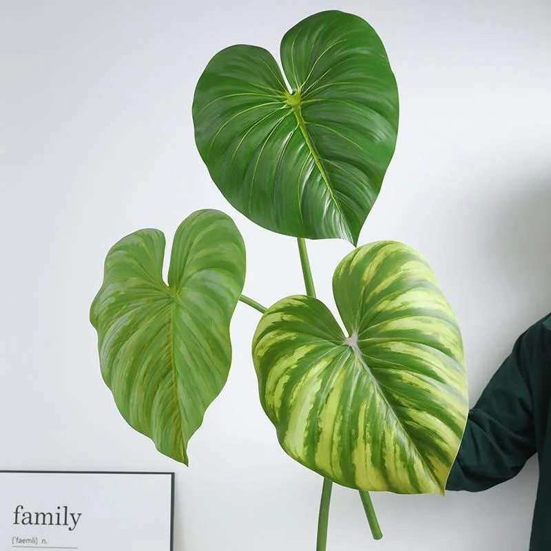 グランカクタスとは：大型単枝の亀背葉造花の実際の特徴と使用シーン