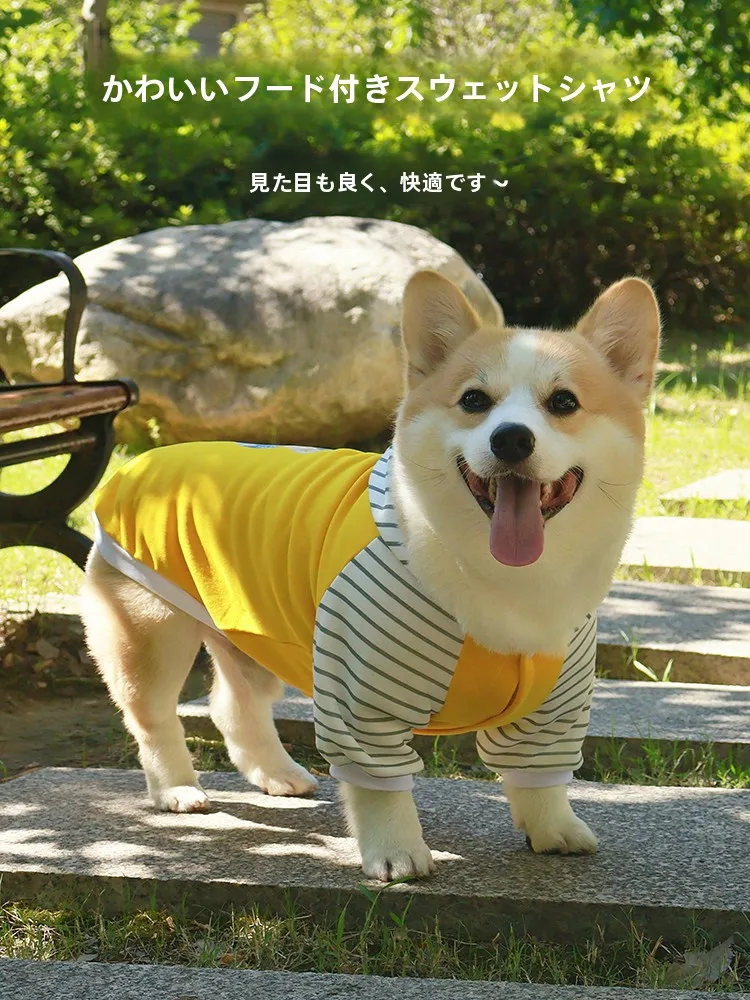 ペット用フード付きパーカー：マンション暮らしに最適な小型犬向け秋冬用フリース