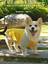ペット用フード付きパーカー【秋冬用・フリース・小型犬向け・暖かい短袖】