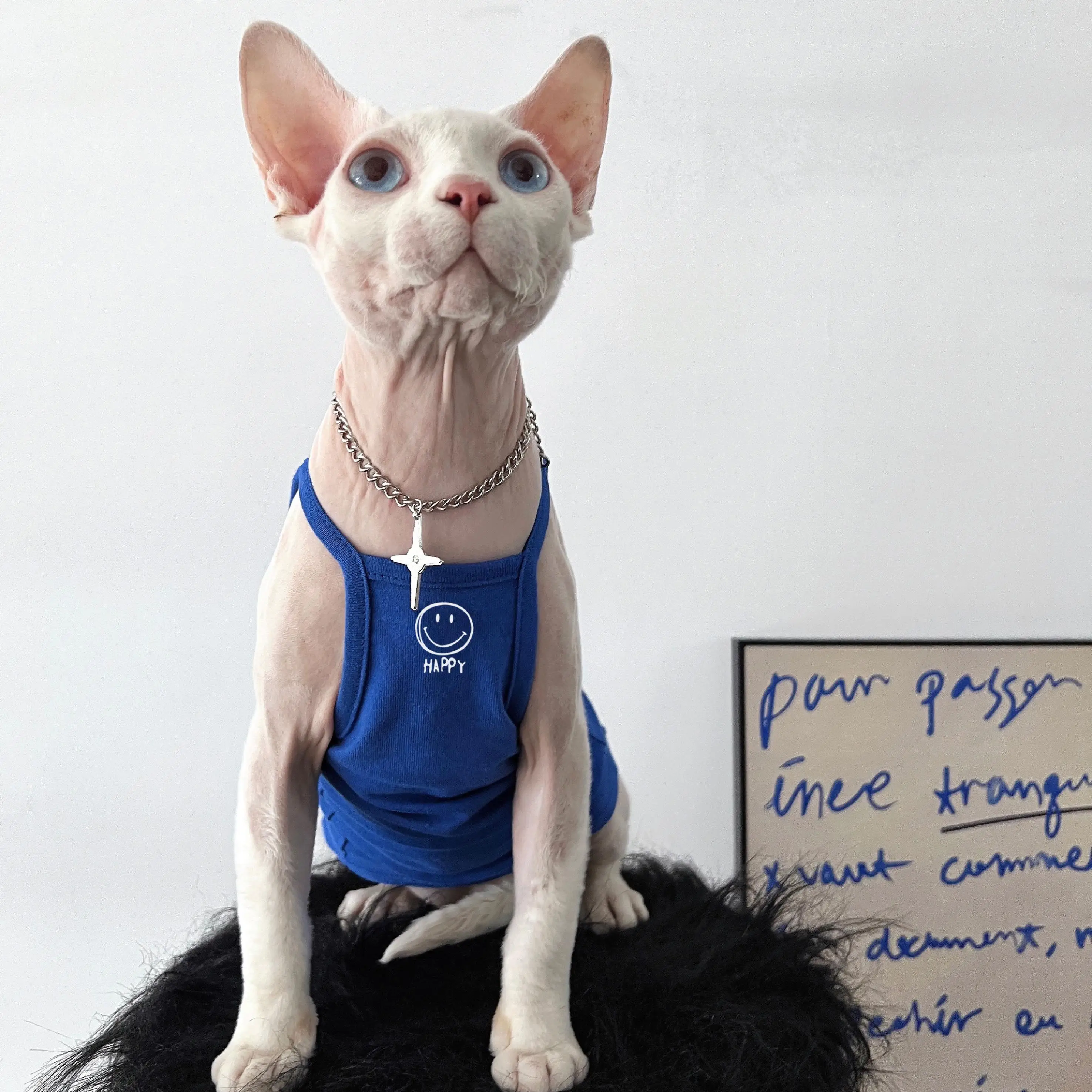 猫tシャツを選ぶときに迷うのは、デザインと質のバランスってどこ？