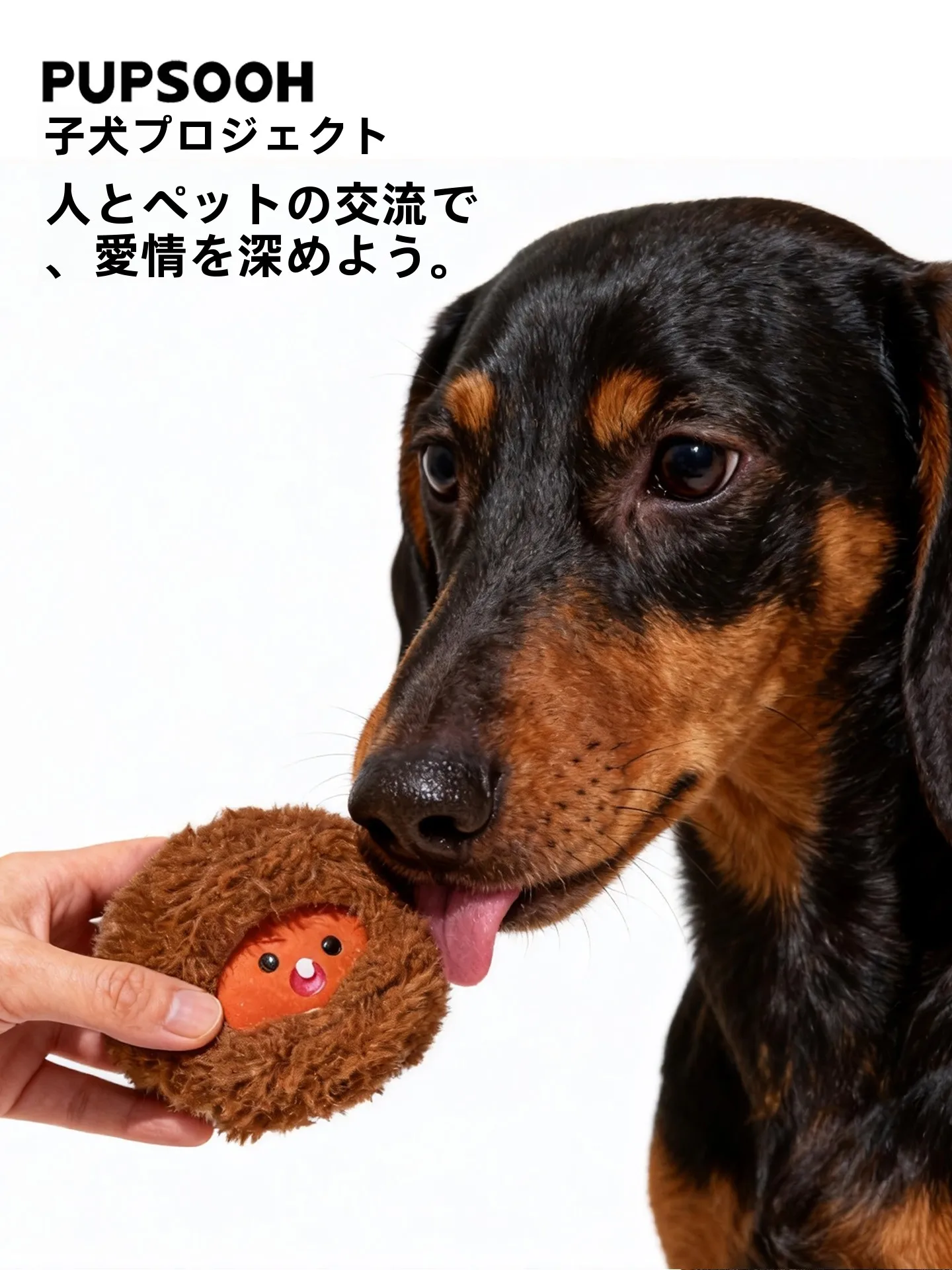 ロボット犬おもちゃを選ぶときに迷うのは、なぜ？
