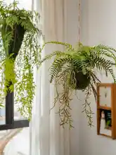 フェイクシダ 植物 吊り飾り 壁掛け装飾 空中飾り