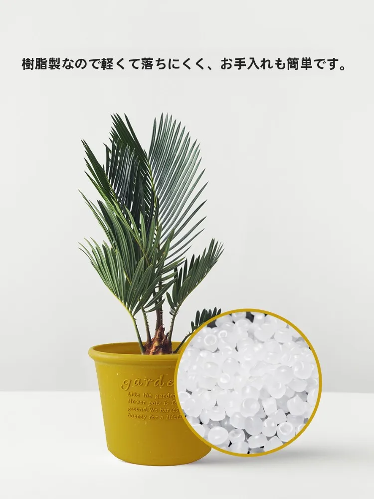 ほったらかしで咲く花を育てるには、どんなプランターがおすすめ？