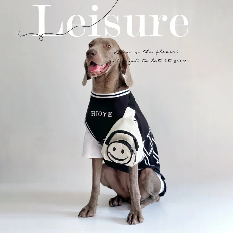 大型犬用夏用ペットウェア：薄手ドッグTシャツで暑さ対 策を実現