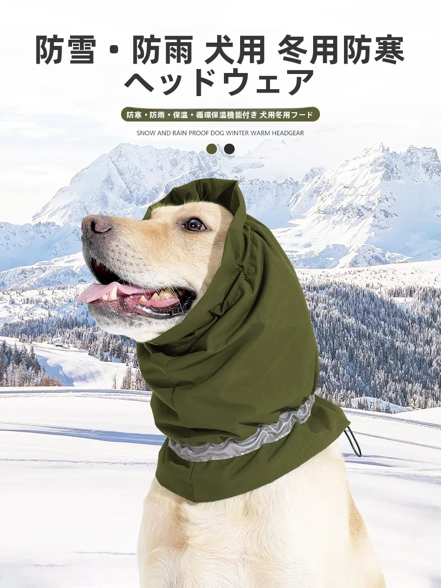 冬の寒さに負けない犬の安らぎフードは、どう選ぶ？