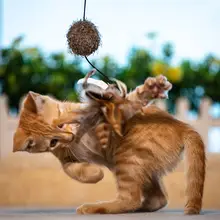 ペット用羽毛キャットボール【猫のおもちゃ・耐久性・遊び心満載】