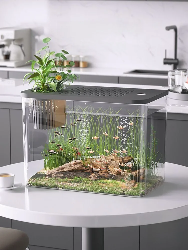 小型観賞魚水槽で水草を育てるための最適な設計とは？