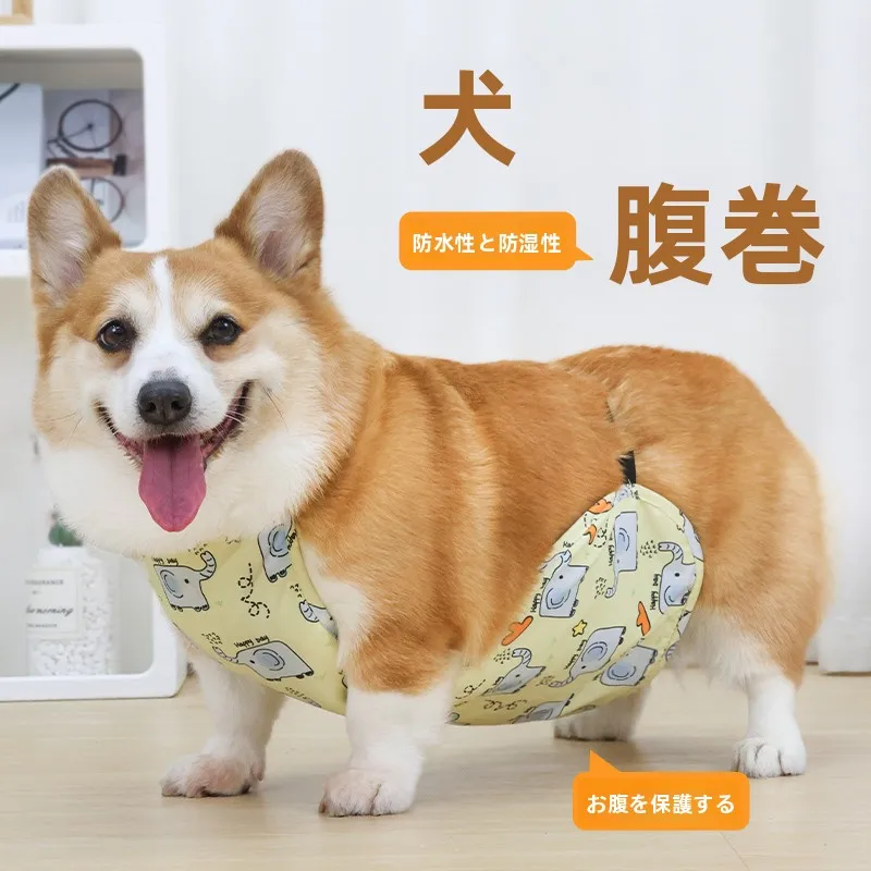 災害時にも安心できる犬の「腹巻き」は、どう選ぶべきか？