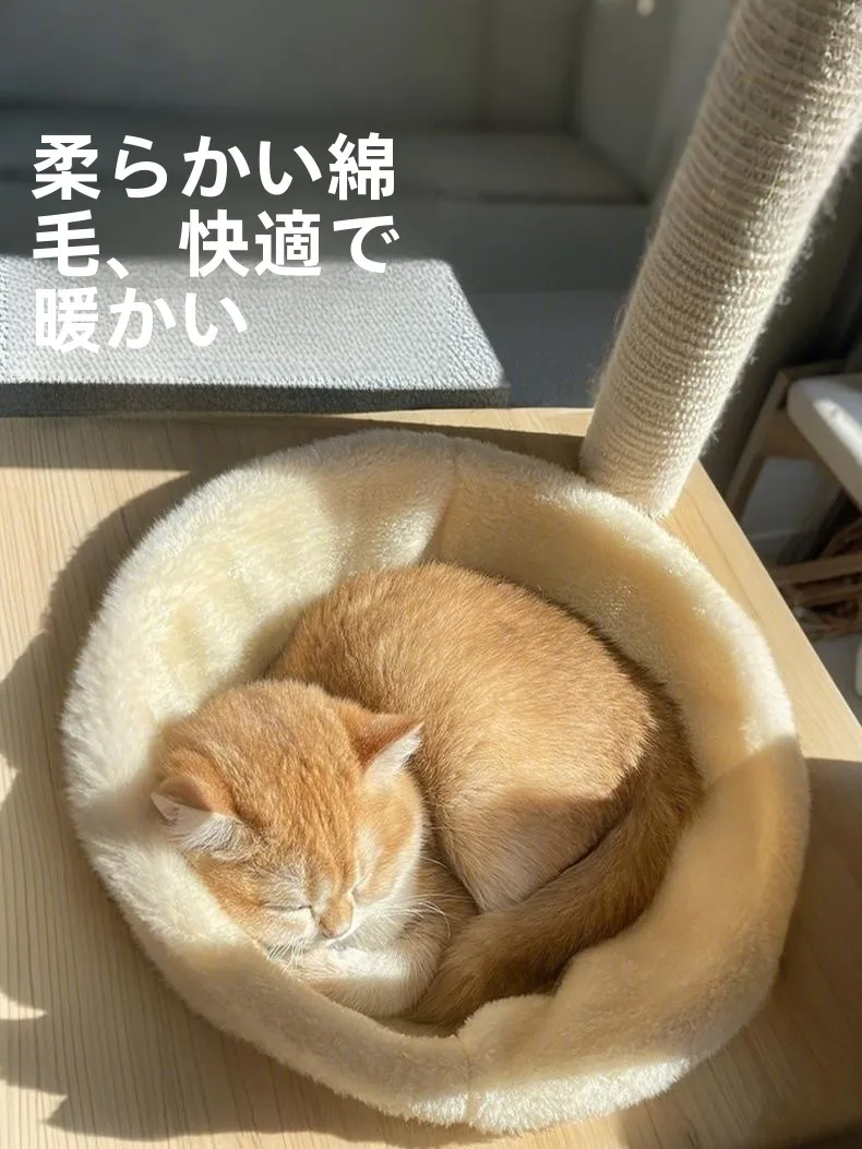猫用スペースキャビンマット：四季対応の宇宙カプセル型保温ベッドの実用性と選定基準