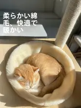 猫用スペースキャビンマット【円形・保温・毛羽立ち・ペット用品】