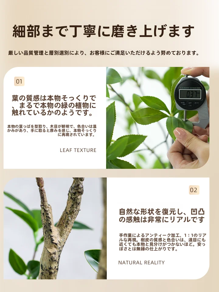バイオミミクリ 植物 装飾オーナメント インドア ラグジュアリー 材料