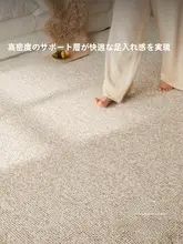 脱着可能なダブルレイヤーラグ【無ホルムアルデヒド・洗濯機対応・防滑設計・シンプルな高級感】