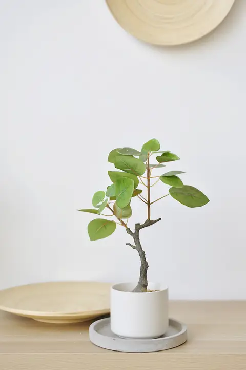 北欧風デスクトップ用フェイク植物【シンプルデザイン・観葉植物・インテリア装飾】