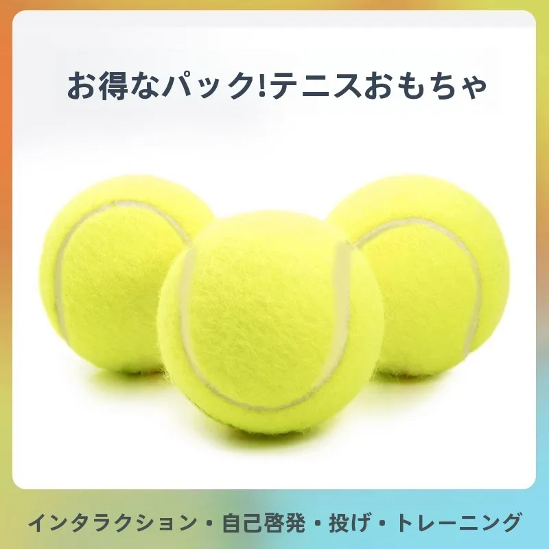 犬のお散歩グッズをコスパ良く揃える方法　完全ガイド