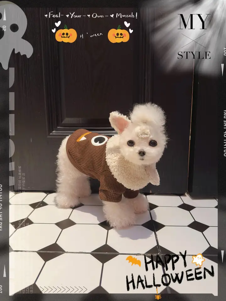 冬用厚手マルチーズパーカー【牽引付き・ハロウィン用・ビションフリーゼデザイン】