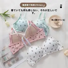 学生向け ブラトップ【ノンワイヤー・極上の柔らかさ・透 breathable】