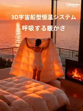 極上の柔らかさの防ダニ春秋冬用掛け布団【白鹅绒・保温性・快適】