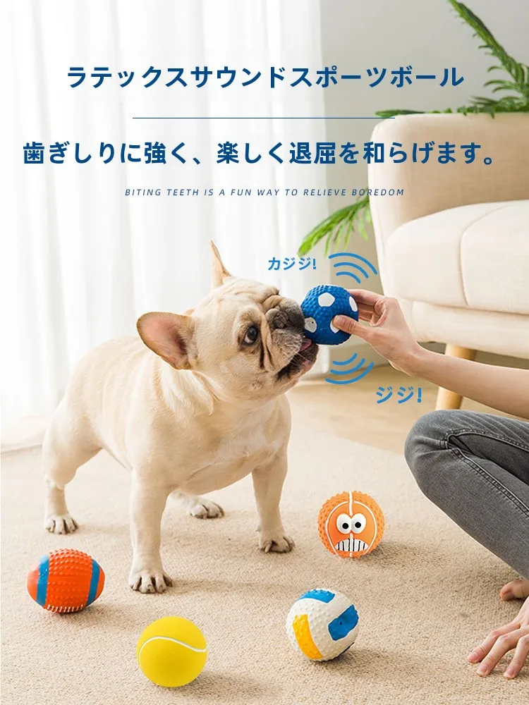 犬のお散歩グッズをコスパ良く揃える方法　完全ガイド