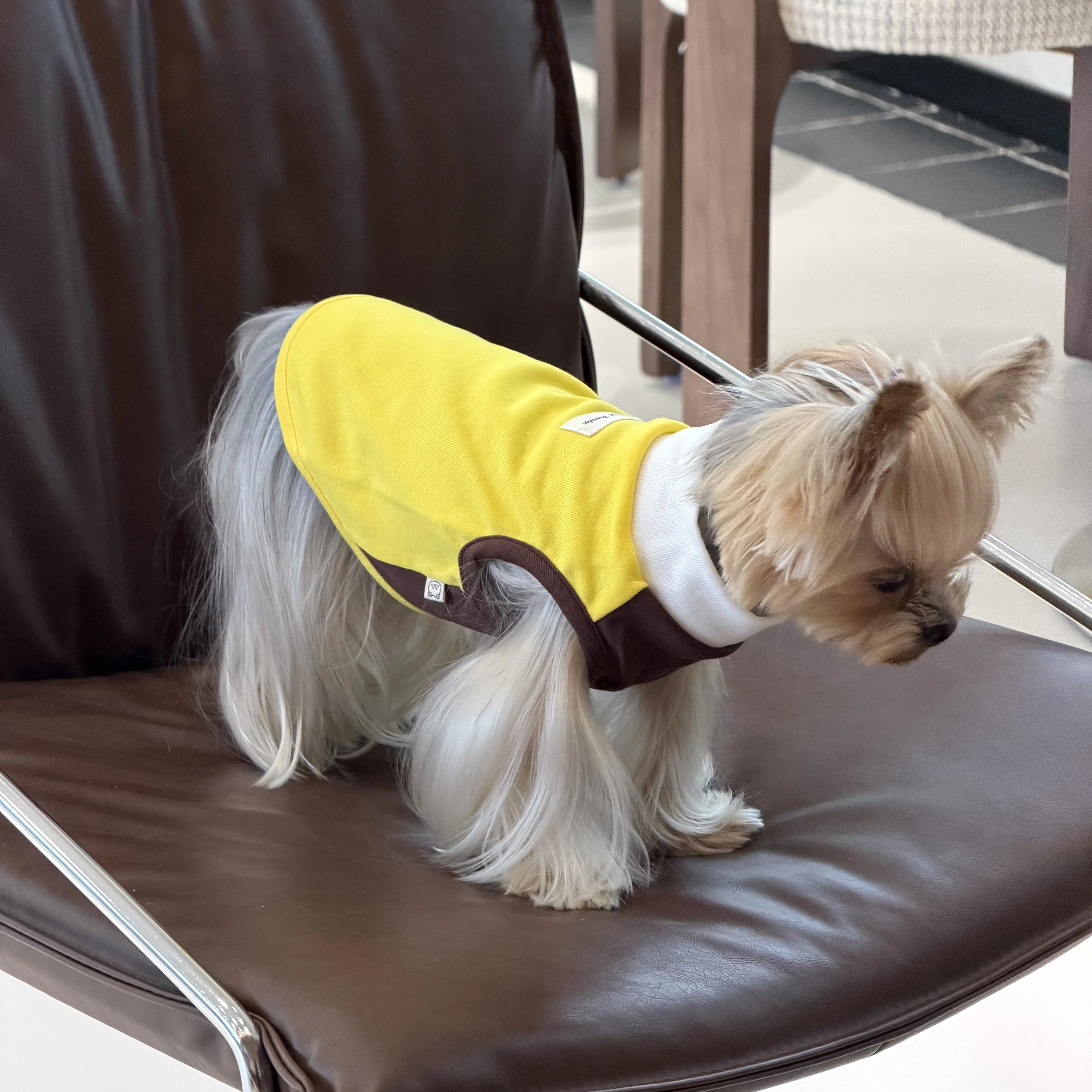 春夏用ペット服：小型犬用バイカラーストレッチ背心の実用性とサイズガイド