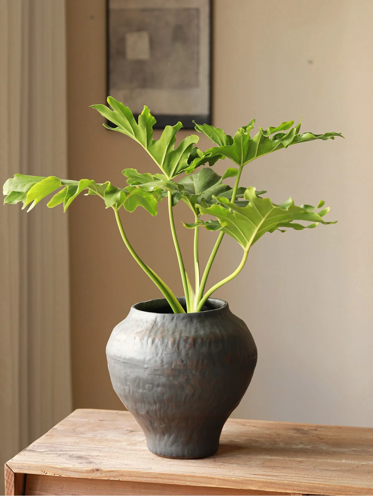陶器製花盆：黒色新中式デザインのバルコニー用多肉植物プランター