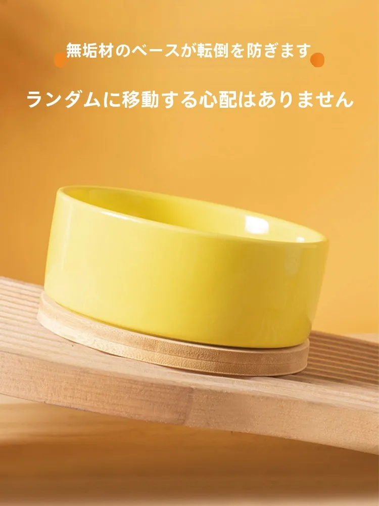 猫飼いが買ってよかったもの・悪かったもの正直に言う｜温水給水器の実際の効果と選び方完全ガイド