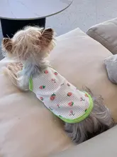 ペット用服【犬・猫用・通気性あり・夏用・清涼感のあるデザイン】