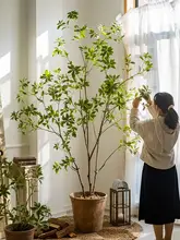 リアルな人工植物 マツザキの大きな鉢植え【インテリア装飾・リビング用・フロアタイプ】
