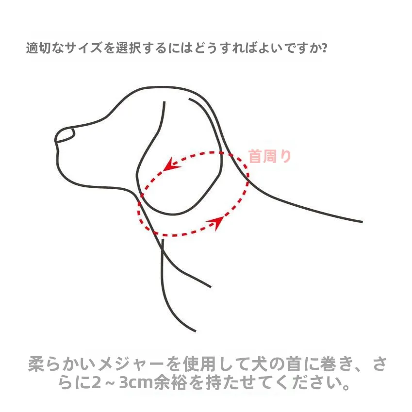 犬のお散歩グッズをコスパ良く揃える方法 - 首輪・リードセットの調整可能サイズと機能