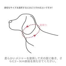 犬用首輪・リードセット【中小型犬対応・テディ・ゴールデン用・調整可能】