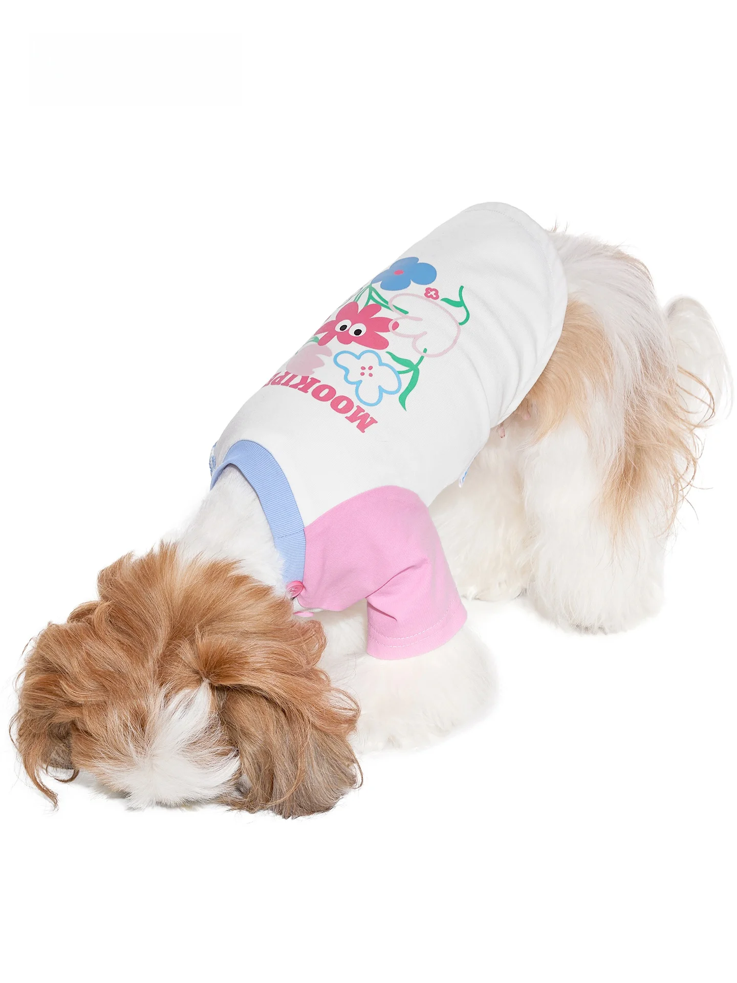 春用犬用Tシャツ：mooki petの涼感デザインが夏のペットライフをサポート