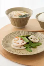 ご飯茶碗 汁碗 小鉢 皿 陶器 千花シリーズ 浮き出し 雪花釉 家庭用