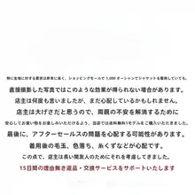 抗皱白色のドールカラーシャツ【レースカラー・フランス風デザイン】