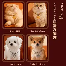可愛い猫用ネックレス【名前刻印・迷子防止・高級感あるデザイン】