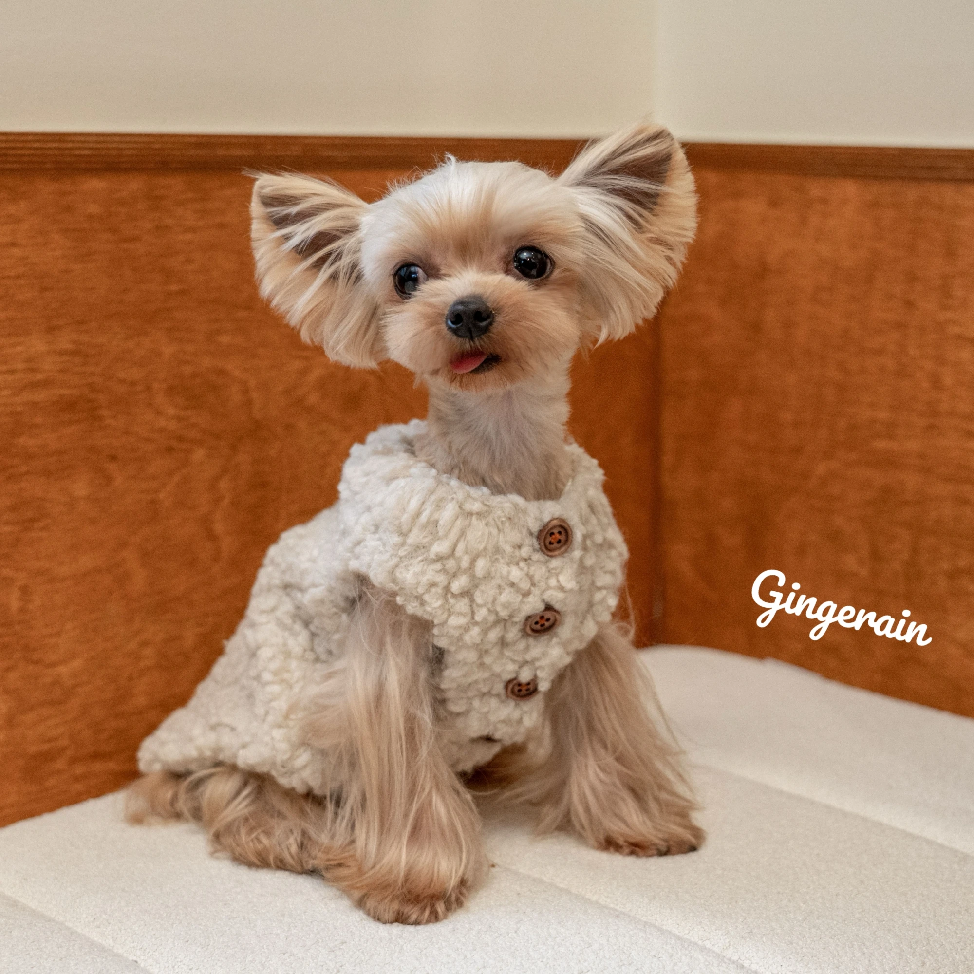 犬のお散歩グッズをコスパ良く揃える方法｜羊羔絨保温ベストの実測ガイド