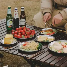 アウトドア用 ステンレス製ディッシュプレート【キャンプ・ピクニック・浅皿・持ち運び便利】