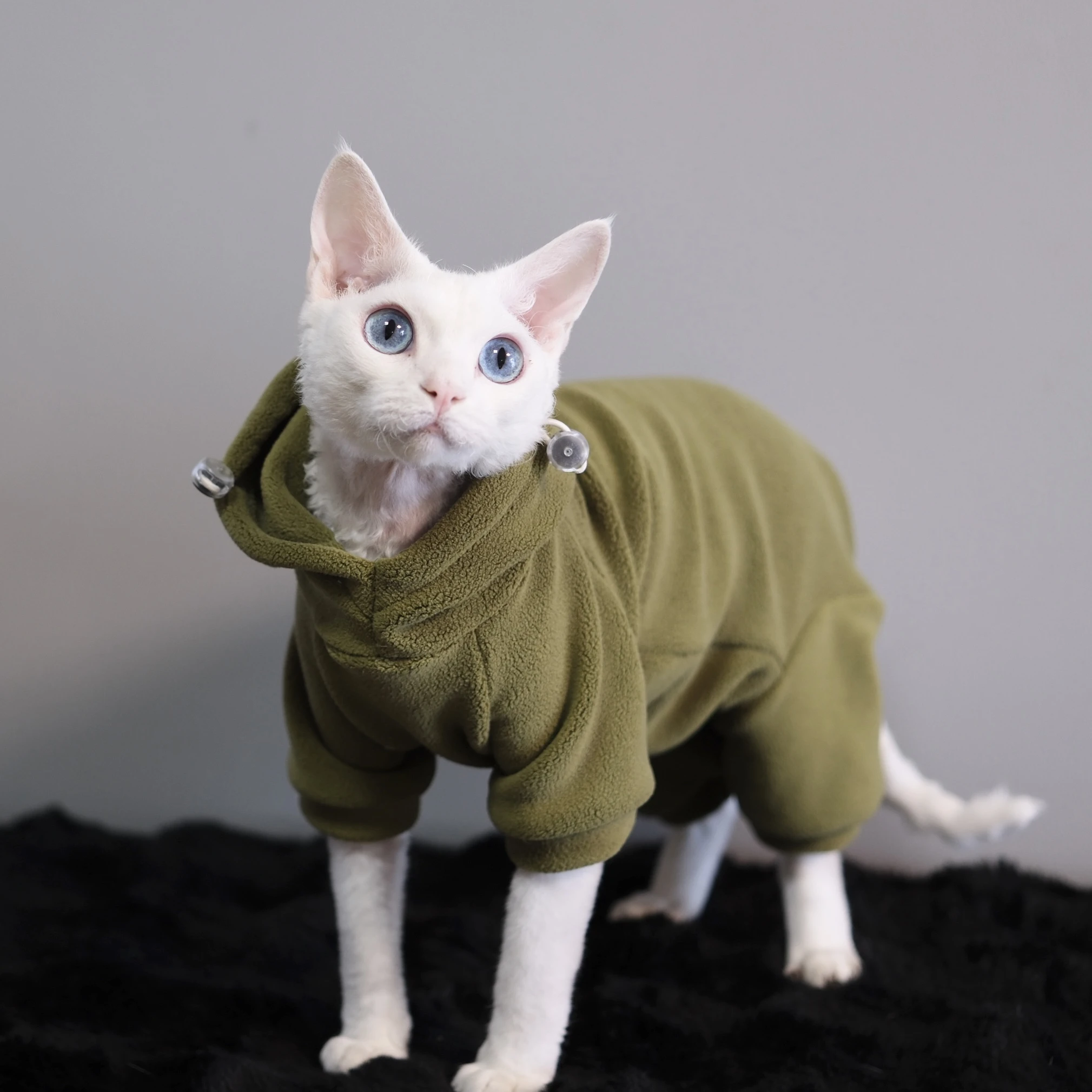 猫飼いが買ってよかったもの・悪かったもの正直に言う｜スフィンクス猫向け冬用パーカーの実測ガイド