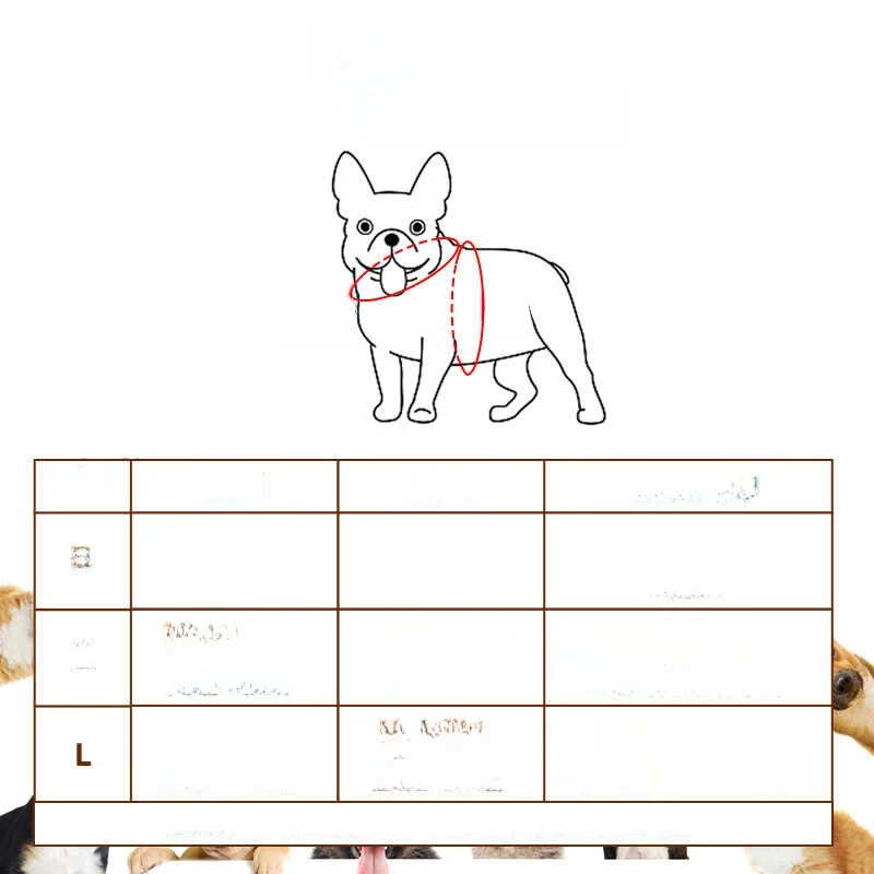 ハロウィン2026に使えるペット衣装は？リアルなスパイダーといたずら犬服がおすすめ！