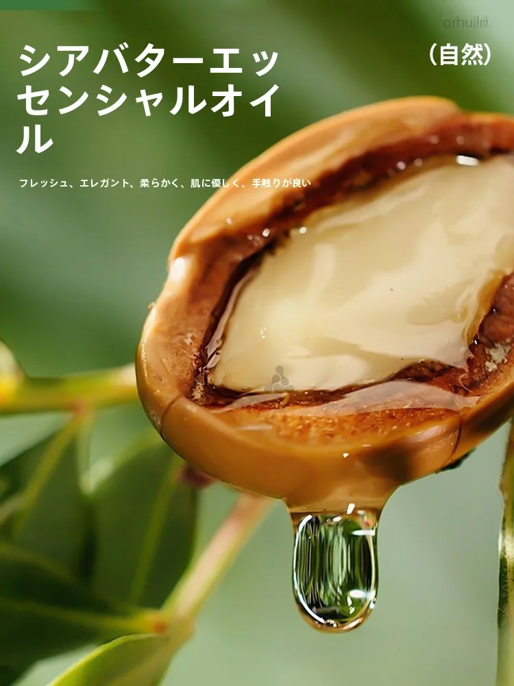 登山靴にインソールがおすすめな理由：至皓恩の超薄型抗菌インソールが実証する快適性と安全性
