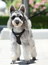 ペット用 ハーネスリード【調整可能・小型犬用・可愛いテディベアデザイン】