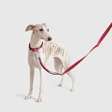 GiGwi 犬用リード【小型・中型・大型犬対応・金毛・テディベア犬用】