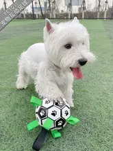 犬用サッカートイ【耐噛性・解消・小型犬向け・コーギー・テディベア】