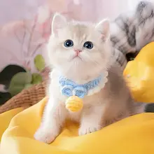 可愛い猫用エプロン【手編み・撮影用・装飾首輪】
