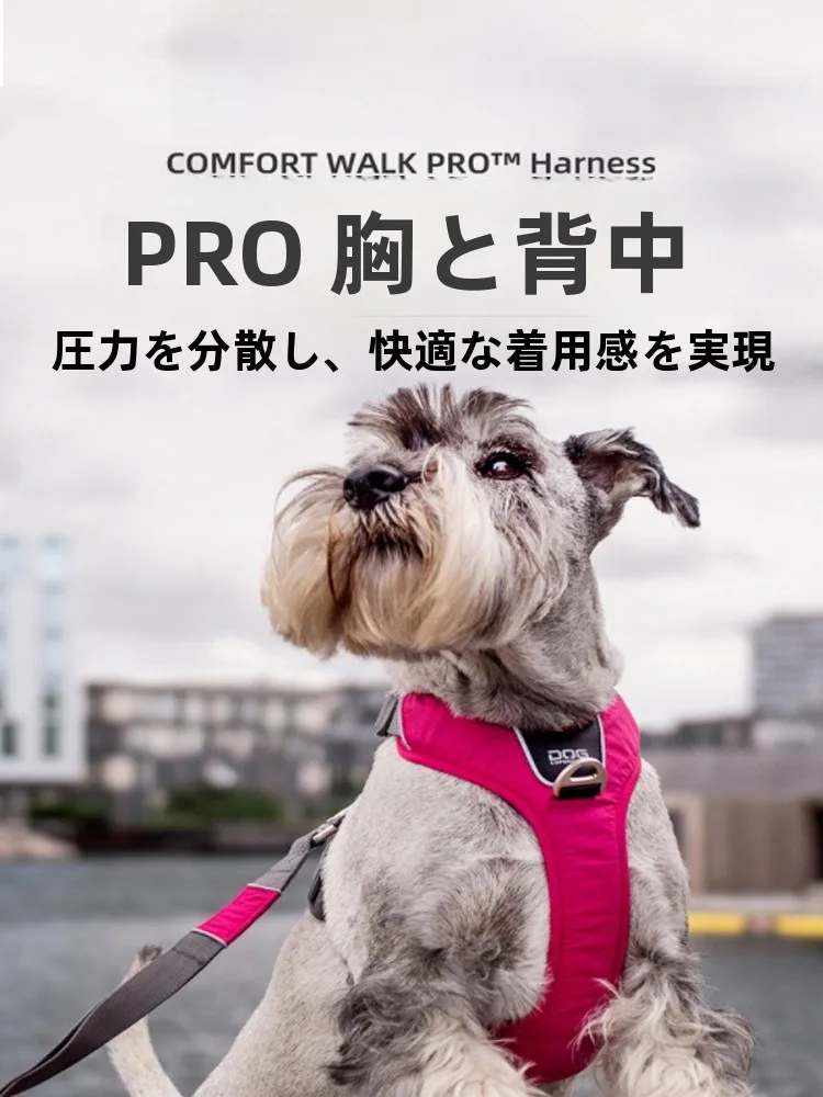 犬のお散歩グッズをコスパ良く揃える方法　防爆機能ハーネスの徹底解説