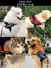 中型犬用ハーネス付きリード【ラブラドール・シェパード・ボーダーコリー対応】