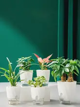 自動吸水仕様の透明プランター【観葉植物用・デザインポット・グリーン】