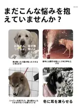 ペット用 安心耳罩【防音・犬用・頭巾・恐怖軽減】